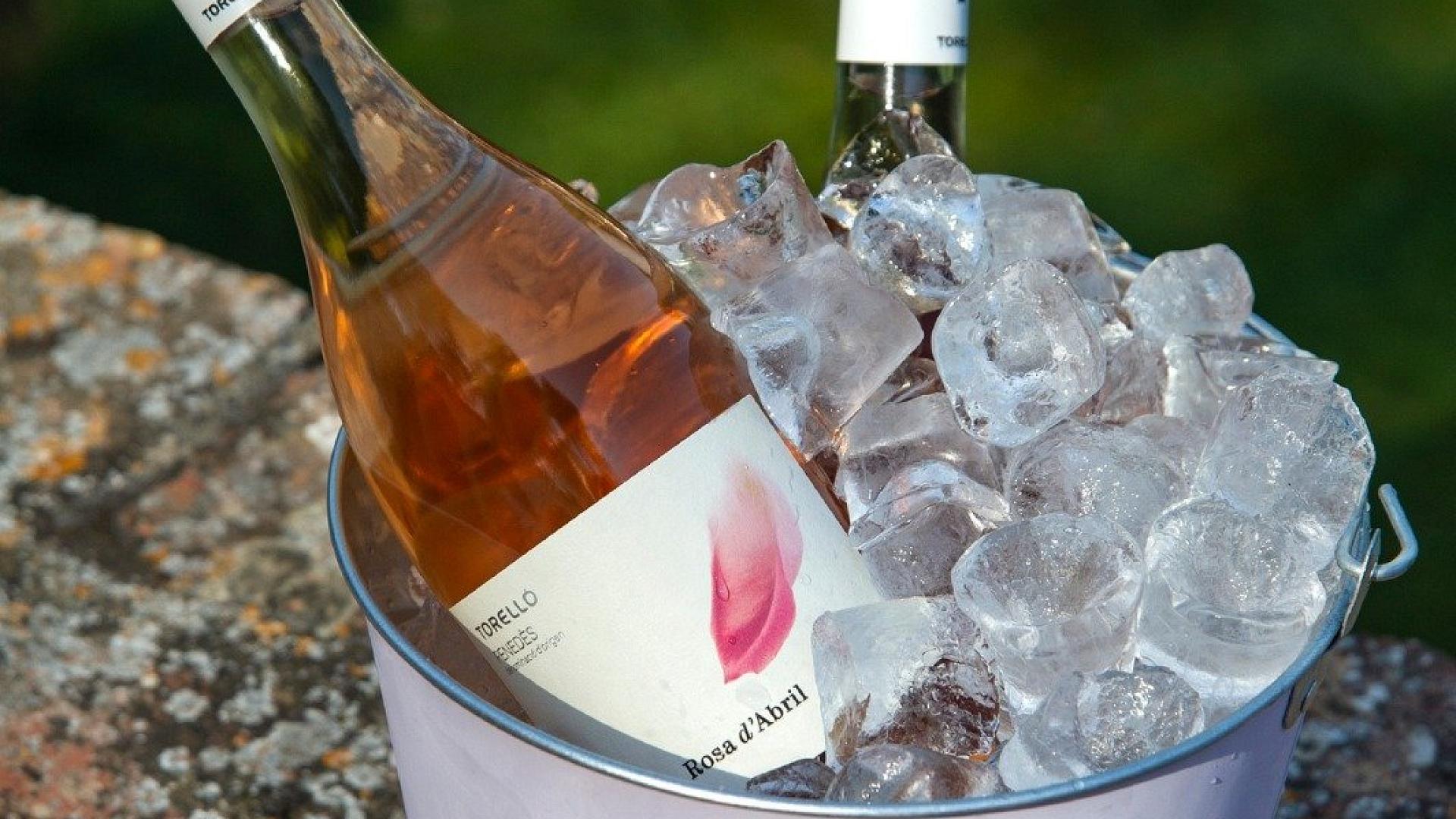 DÉGUSTATION DE VINS AVEC TORELLÓ VITICULTEURS